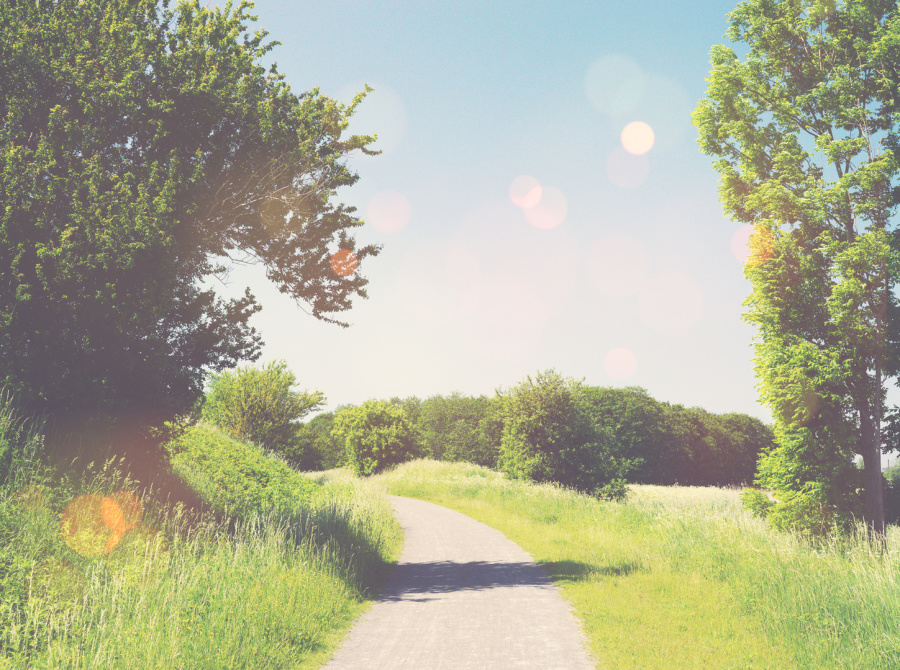 Feldweg im Sonnenlicht