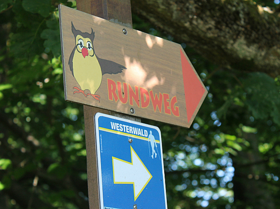 Schild auf Naturlehrpfad Dürrholz