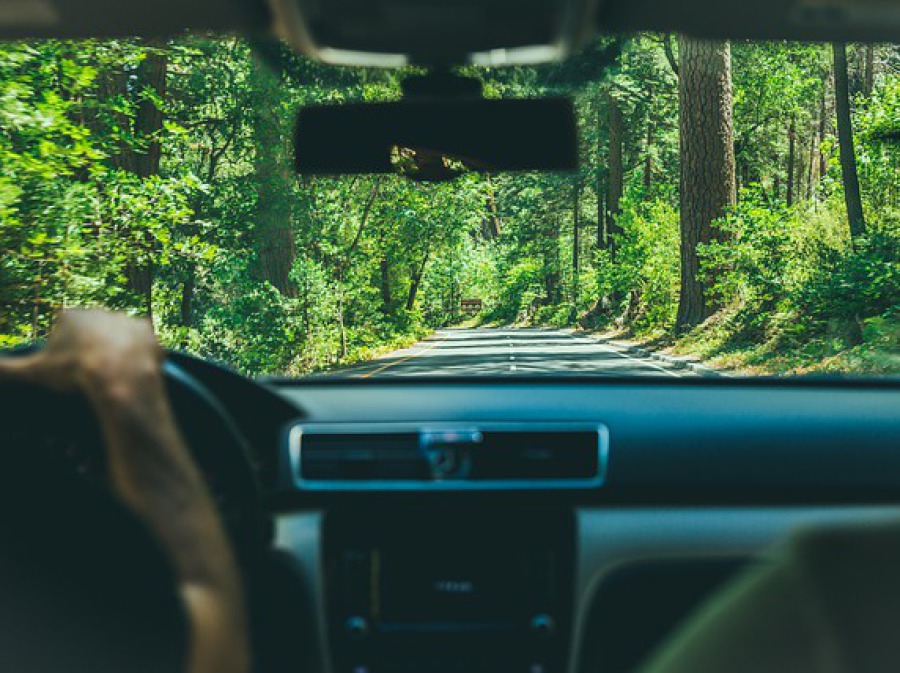 Blick aus Auto heraus auf Straße durch Wald